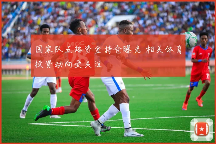 国家队五路资金持仓曝光 相关体育投资动向受关注