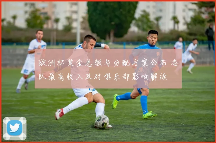 欧洲杯奖金总额与分配方案公布 各队最高收入及对俱乐部影响解读