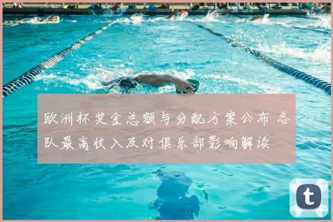 欧洲杯奖金总额与分配方案公布 各队最高收入及对俱乐部影响解读