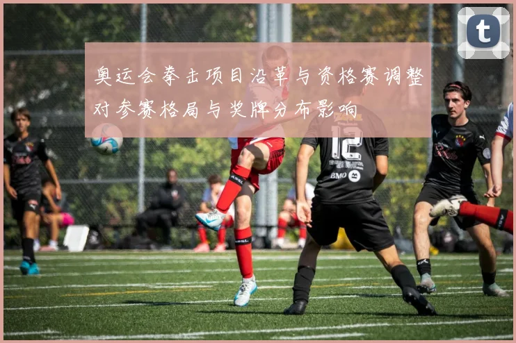 奥运会拳击项目沿革与资格赛调整对参赛格局与奖牌分布影响