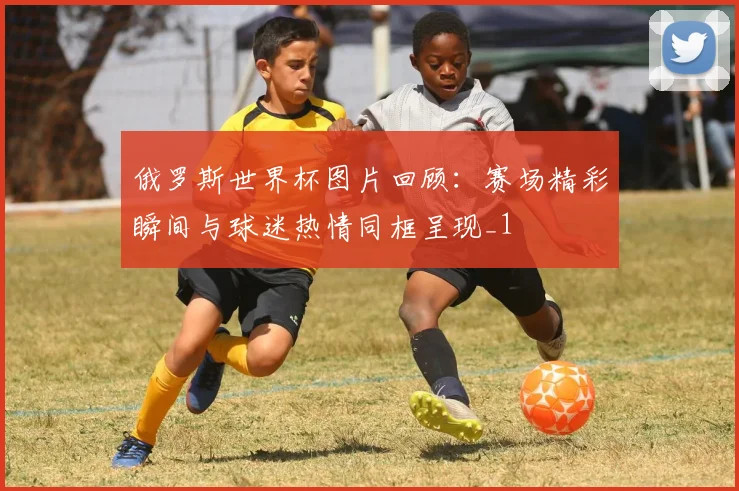 俄罗斯世界杯图片回顾：赛场精彩瞬间与球迷热情同框呈现_1