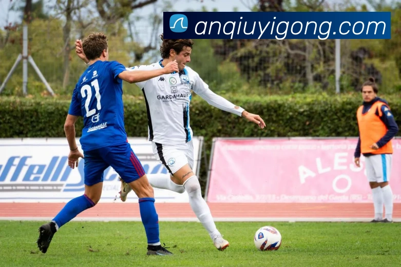 emc易倍官方官网平台生态图