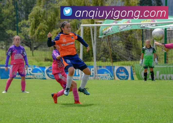 emc易倍官方官网APP 封面图